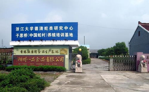 中國第一蛇村 150戶人家養(yǎng)數(shù)百萬條蛇,為何鮮有年輕人繼承