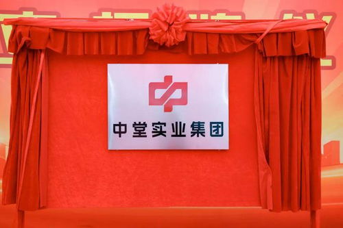 高質量發展新征程 中堂實業集團揭牌成立，百墩實業開啟新篇章